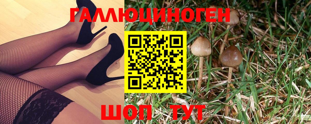 Галлюциногенные грибы MAGIC MUSHROOMS Омск