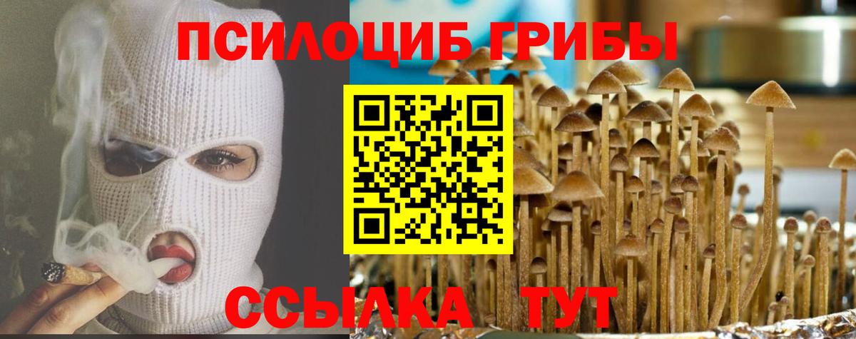 Омск  Галлюциногенные грибы ЛСД  Вход с VPN 